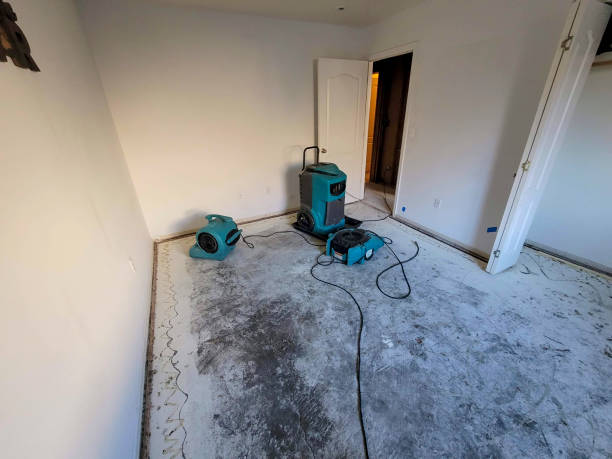 Best Sewage cleanup and water damage restoration  in Conover, NC
