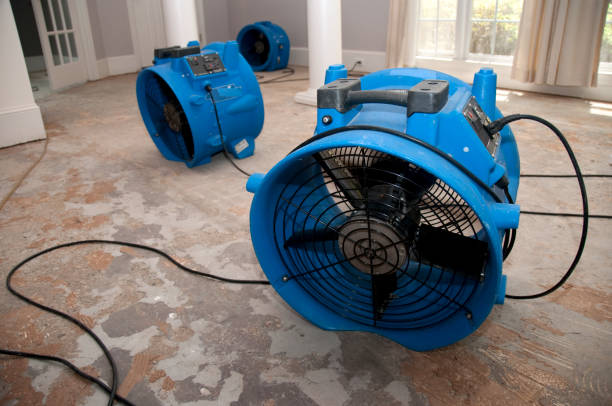 Best Water damage cleanup near me  in Conover, NC