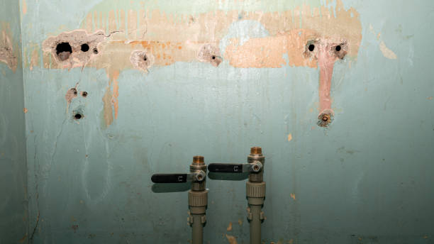 Best 24-hour water damage restoration  in Conover, NC