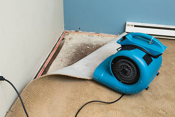Best Water damage restoration near me  in Conover, NC
